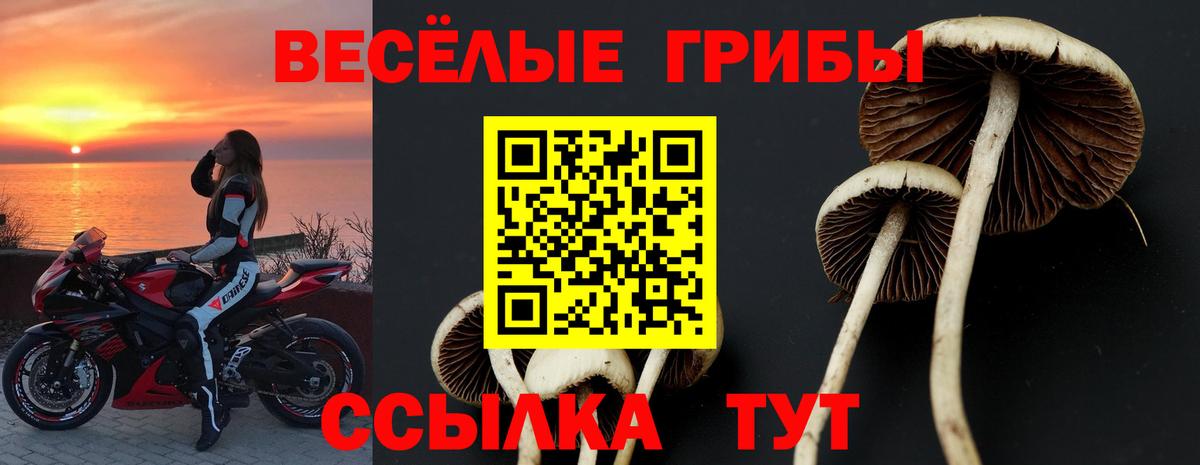 Мценск  Псилоцибиновые грибы Psilocybine cubensis  Галлюциногенные грибы Psilocybe  Вход с VPN 