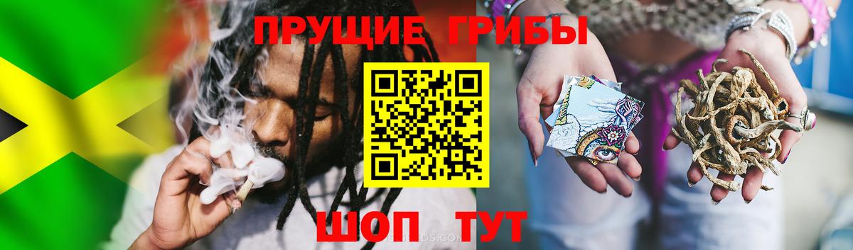 Галлюциногенные грибы мухоморы Мценск